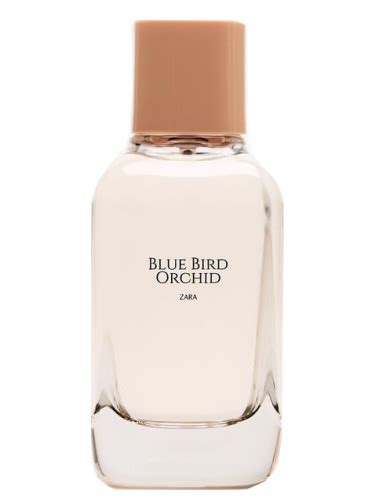 blue bird orchid zara perfume dupe
